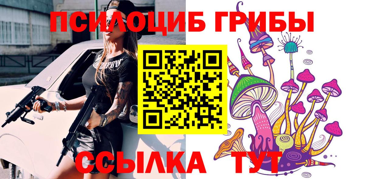 Псилоцибиновые грибы Psilocybe  Псилоцибиновые грибы Cubensis  Шелехов  Вход с VPN 