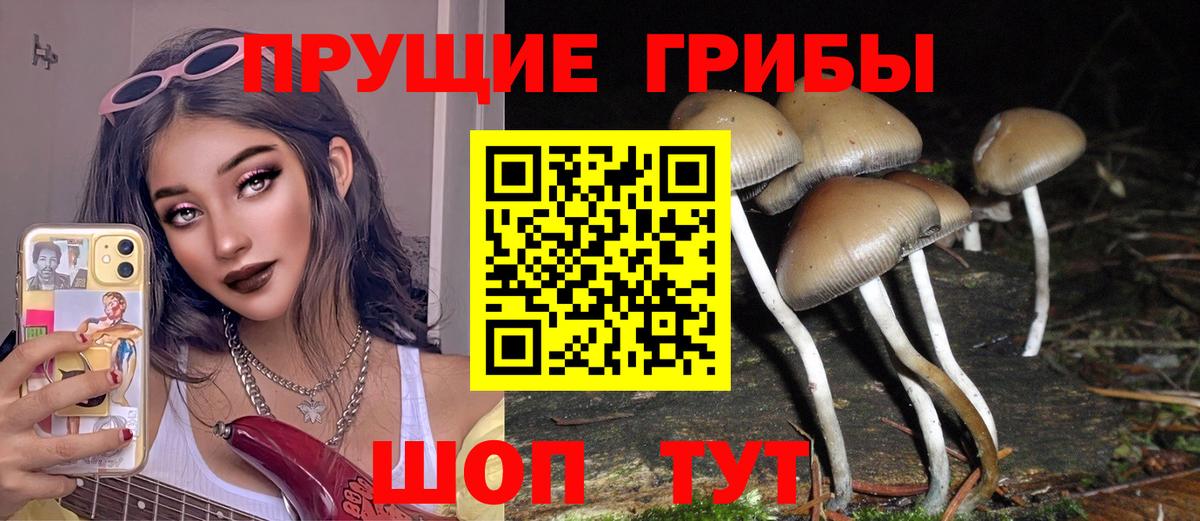 Псилоцибиновые грибы прущие грибы Шелехов